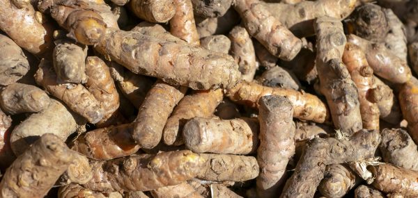 Kunyit, turmeric, Curcuma longa Linn. in traditional market in Yogyakarta, Indonesia